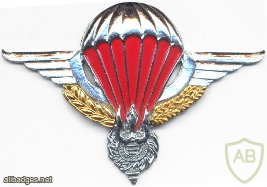 LAOS Airborne Parachute qualification wings, local made, Southeast Asia img23521