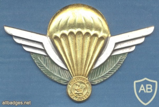 CONGO (Republic of the) Parachute qualification wings img23597