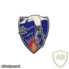 FRANCE 8th Supply Regiment pocket badge