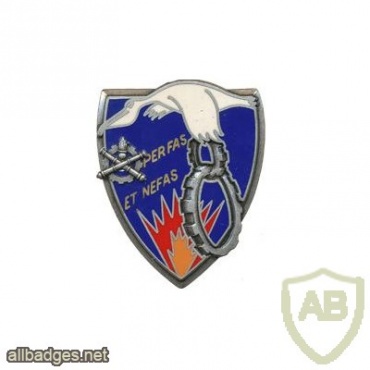 FRANCE 8th Supply Regiment pocket badge img23638