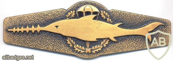 GERMANY Combat diver qualification badge, bronze img23632