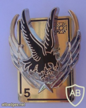 FRANCE Army 5th Combat Helicopter Regiment pocket badge img23670