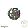 FRANCE Army 1st Transportation Regiment pocket badge img23680