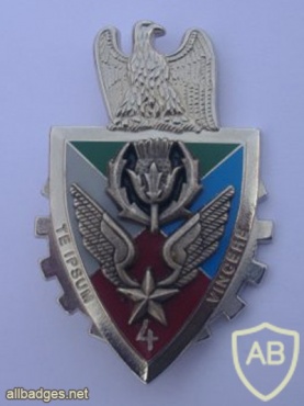 FRANCE Army 4th Helicopter command and maneuver Regiment pocket badge img23672