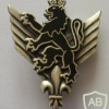 FRANCE Army 6th Combat Helicopter Regiment pocket badge img23669