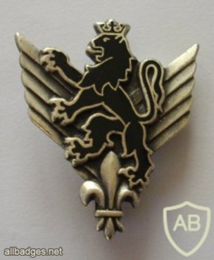 FRANCE Army 6th Combat Helicopter Regiment pocket badge img23669