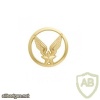 Army aviation cap badge, gold
