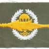 GERMANY Combat Swimmer (Kampfschwimmer) qualification badge, Class II, on olive green cloth