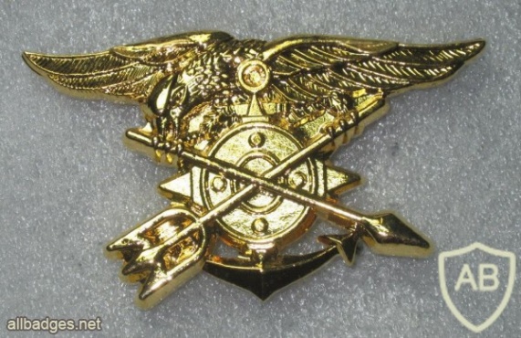 South Korea Navy SEAL-UDT Brigade Badge img23739