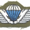 DENMARK Army Parachutist wings, cloth, on olive green #2 img23720