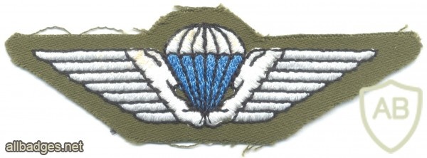 DENMARK Army Parachutist wings, cloth, on olive green #2 img23720