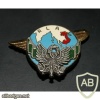 FRANCE Army Delivery by Air Regiment pocket badge