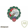 FRANCE Army 511th Transportation Regiment pocket badge
