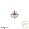 FRANCE Army 604th Traffic Regiment pocket badge img23801