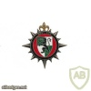 FRANCE Army 625th Traffic Regiment pocket badge