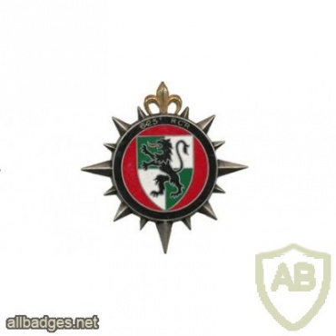 FRANCE Army 625th Traffic Regiment pocket badge img23804