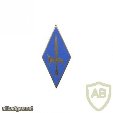 France 3rd Motorised Infantry Division pocket badge img23906