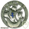 France 10th Infantry Division pocket badge
