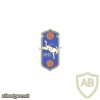 France 30th Alpine Infantry Division pocket badge