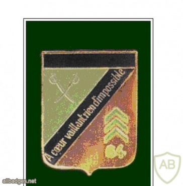 FRANCE 64th Infantry Division reconnaissance group pocket badge img23944