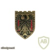 France 15th Motorised Infantry Division pocket badge