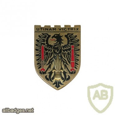 France 15th Motorised Infantry Division pocket badge img23933