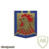 France 12th Motorised Infantry Division pocket badge