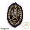 Iranian University of Command and Staff shoulder patch img23956