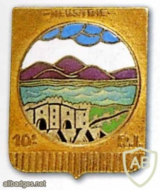 FRANCE 10th Infantry Regiment pocket badge img23990