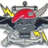 DOMINICAN REP. Army Counter-Terror Commando breast badge
