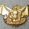 Japan Maritime Self-Defense Force Naval Commando (reproduction badge)