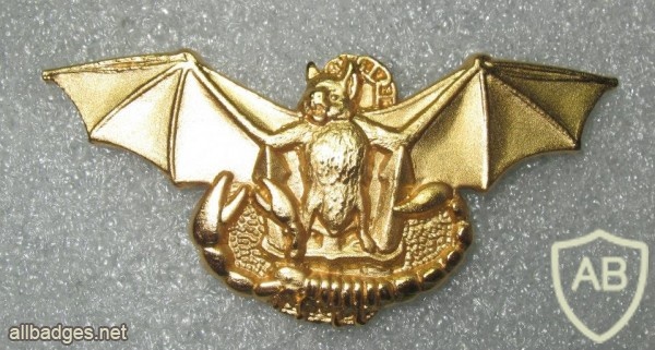 Japan Maritime Self-Defense Force Naval Commando (reproduction badge) img24033