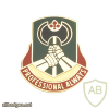 5th Military Police Battalion
