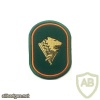 Border Guard Sleeve Patch img24211
