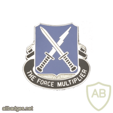 301st Military Intelligence Battalion img24394