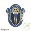 165th Military Intelligence Battalion