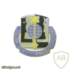 325 Military Intelligence Battalion