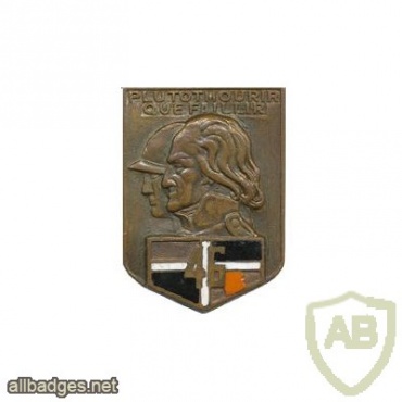 FRANCE 46th Infantry Regiment pocket badge img24562