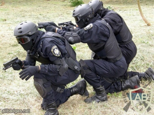 SERBIA Police Special Anti-Terrorist Unit (SAJ) sleeve patch img24531