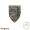FRANCE 48th Infantry Regiment pocket badge, old