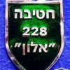 חטיבה- 228 "אלון" img24604