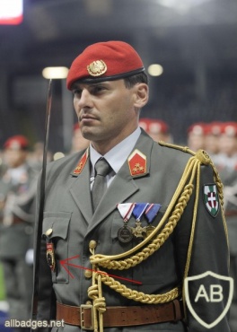 AUSTRIA Army (Bundesheer) - Vienna Honor Guard "GARDE" pocket badge img24664