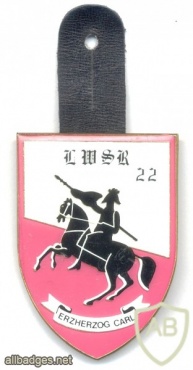 AUSTRIA Army (Bundesheer) - 22nd Training and Equipment-holding Regiment badge img24666
