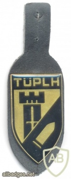 AUSTRIA Army (Bundesheer) - Troops Training Facility Hochfilzen pocket badge img24667
