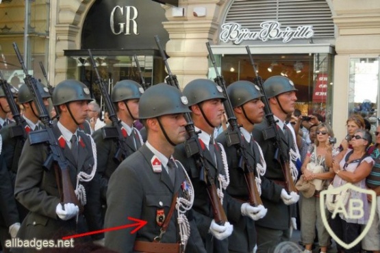 AUSTRIA Army (Bundesheer) - Vienna Honor Guard "GARDE" pocket badge img24663