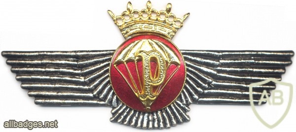 SPAIN Parachute rigger wing, re-1977 img24661
