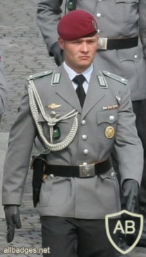  GERMANY Bundeswehr - Military Proficiency Badge - Class III Gold - 20 years img24745