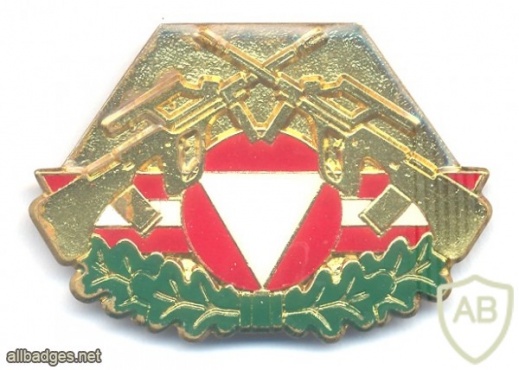 AUSTRIA Army (Bundesheer) - Combat Service Proficiency badge, Gold img24759