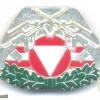 AUSTRIA Army (Bundesheer) - Combat Service Proficiency badge, Silver