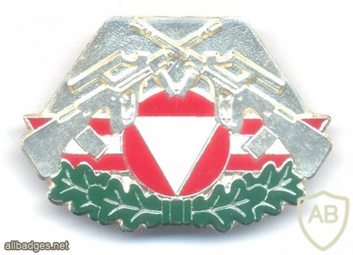 AUSTRIA Army (Bundesheer) - Combat Service Proficiency badge, Silver img24758